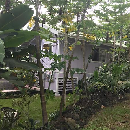 The Dolphin Cottage At Kehena Beach Экстерьер фото