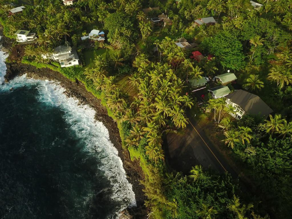 The Dolphin Cottage At Kehena Beach Экстерьер фото
