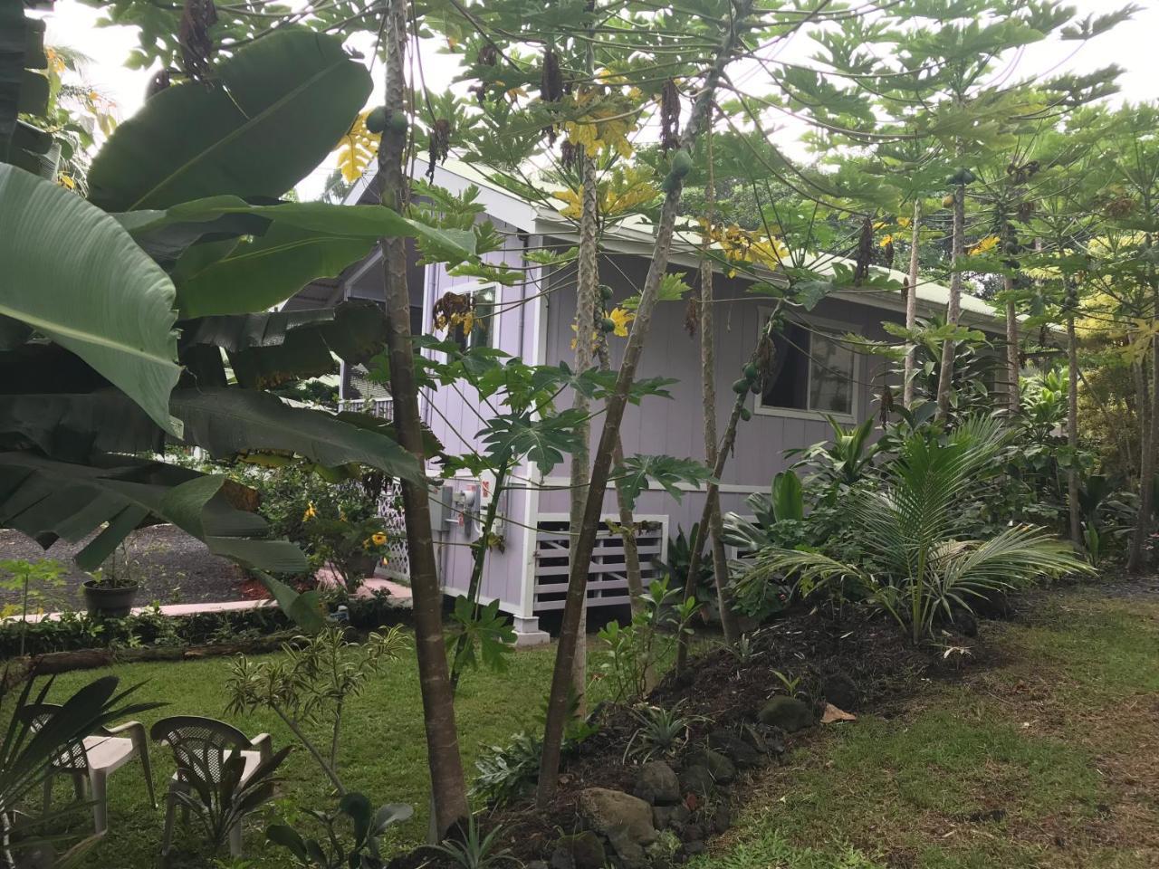 The Dolphin Cottage At Kehena Beach Экстерьер фото